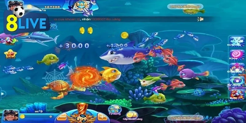 Thanh toán đổi tiền cá cược nhẹ nhàng nhờ momo lo hết