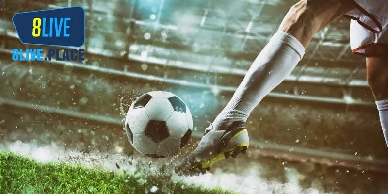 Cách đặt cược đơn giản mà ai cũng cần biết